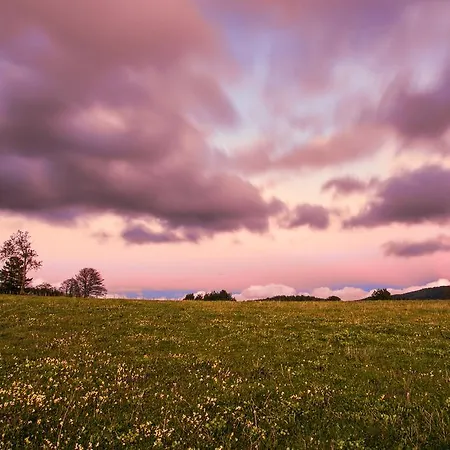 Casa Federico San Giovanni in Fiore